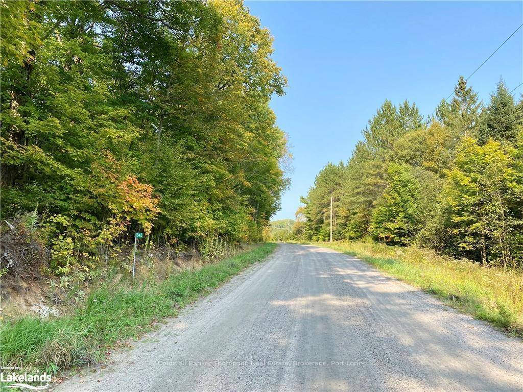 Beautiful 4. 0 acres vacant lot on a quiet, 4 season road.