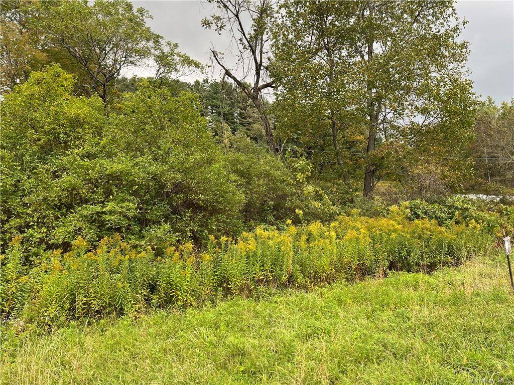 Just listed ! This great 12 acre lot in Hancock, NY was just listed for sale !
