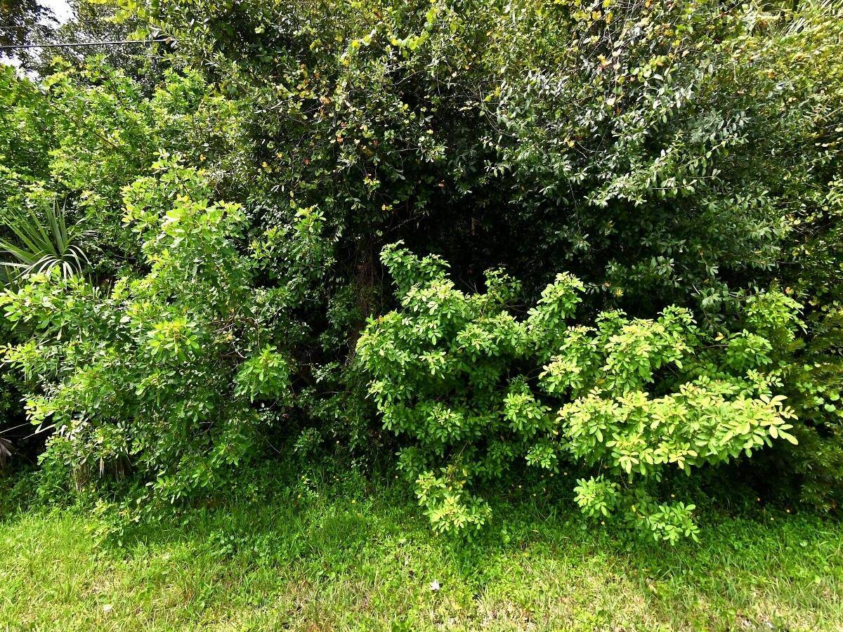 Beautiful Very large lot quies neighborhood lots of vacant lots.