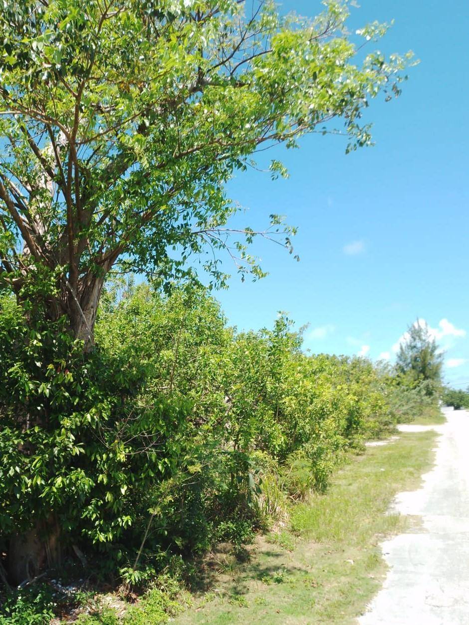 STEDE BONNET ROAD Land Abaco
