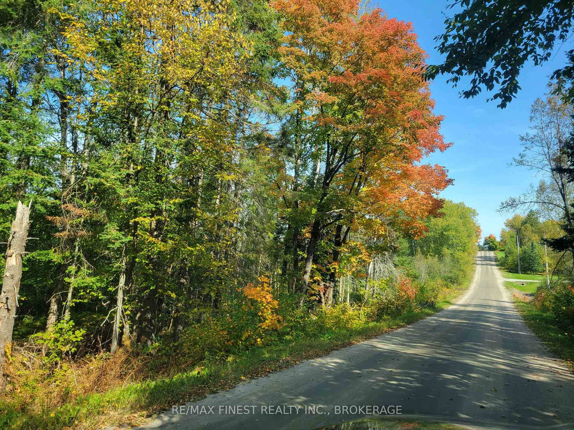 1 acre lot, with frontage on both Patrick and Victoria Streets, offers incredible potential to !