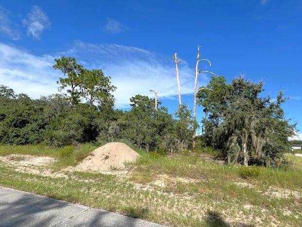 Nice corner lot avialable for your new Florida home in fast growing community of Poinciana Village 7, Polk County Florida.