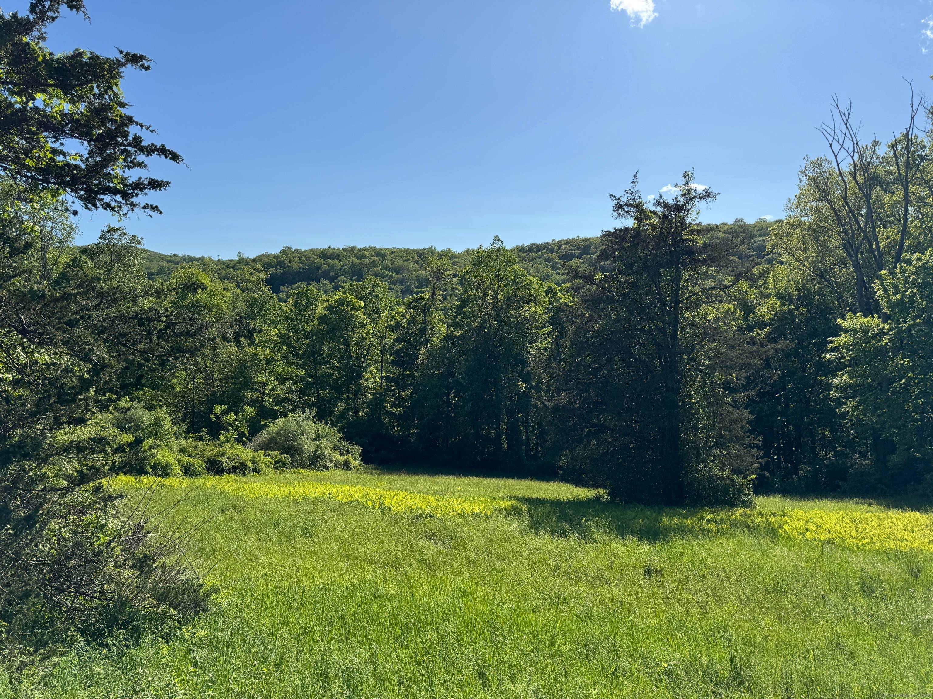 Discover an exceptional opportunity to own a substantial 24 acre parcel that presents a multitude of possibilities.