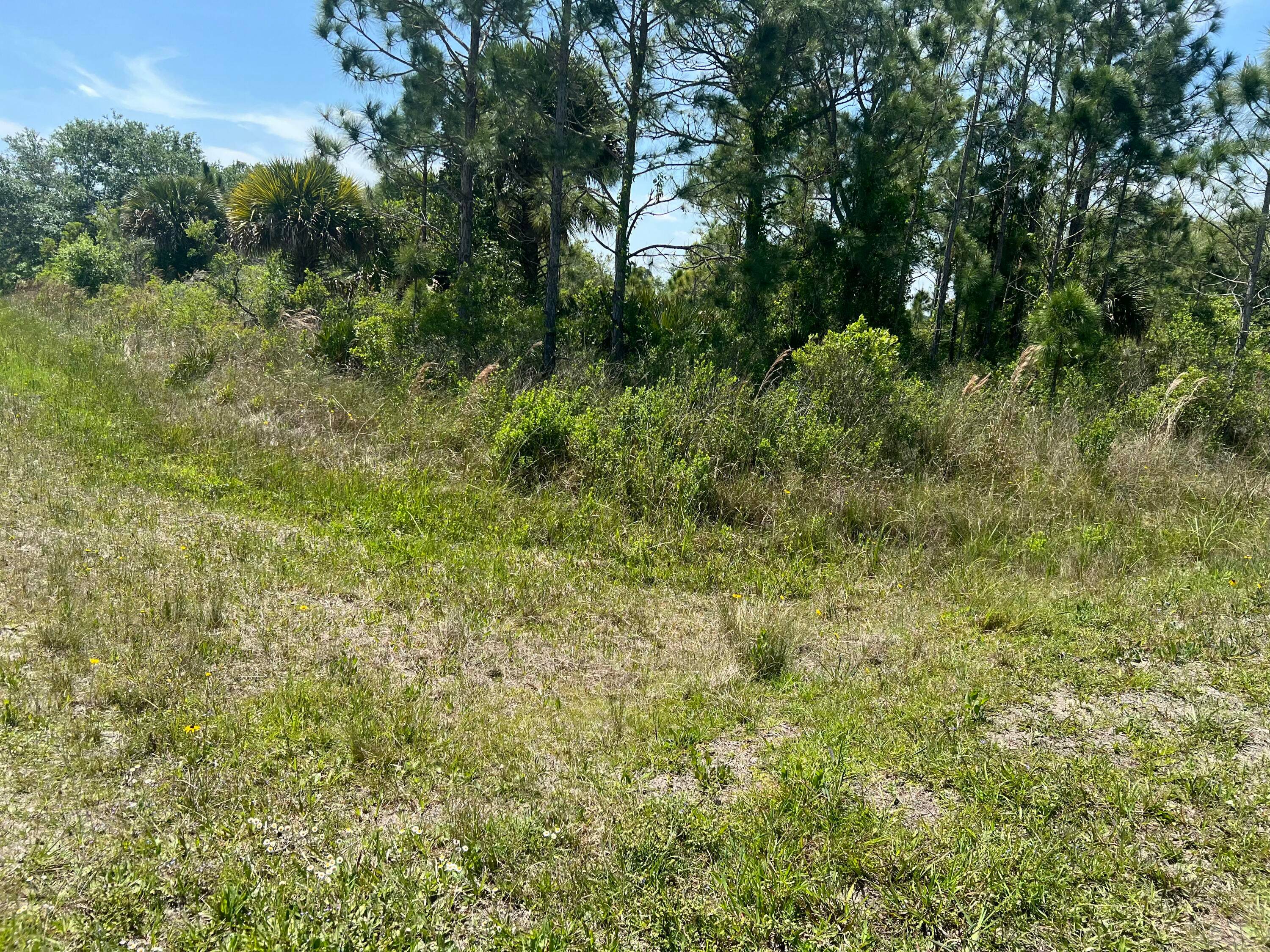 Perfect property to build your brand new home on this one and a half acre preserve lot.