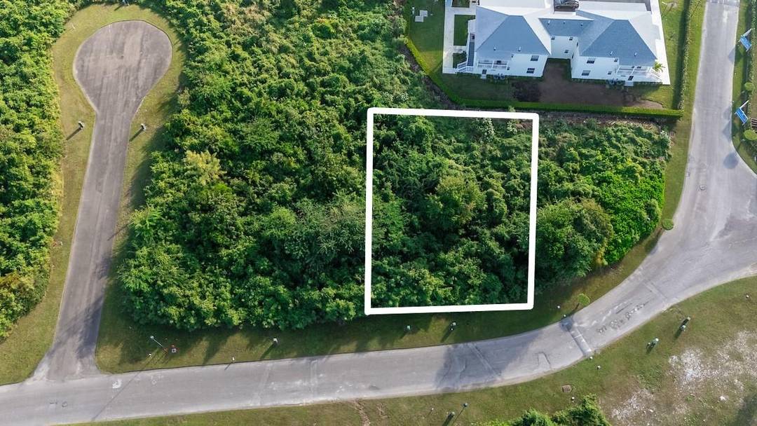 LOT 150 PALM CAY Land New-Providence