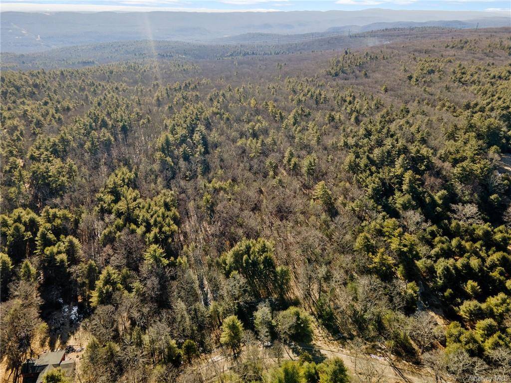 Skinner Road, Wurtsboro, NY 12790