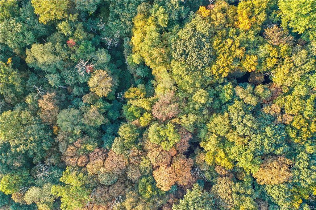 6 acres on the Greenwich Stamford border nestled against over 900 acres of the Mianus River Gorge Preserve.