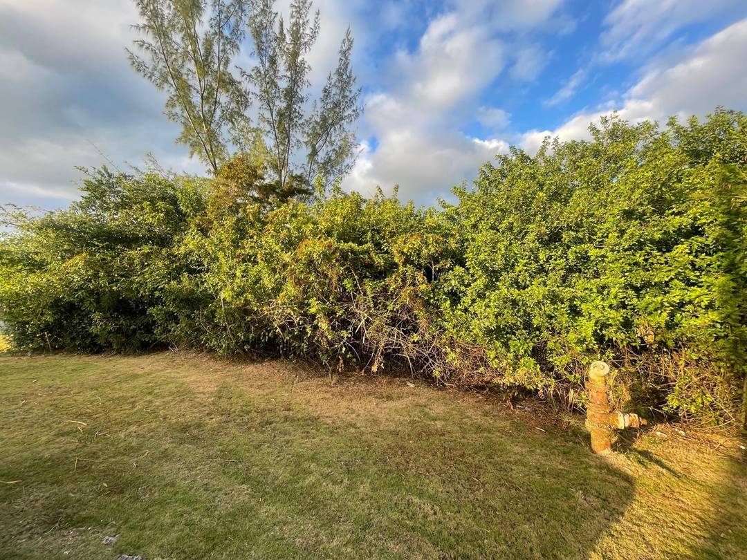 SOUTH OCEAN Land New-Providence