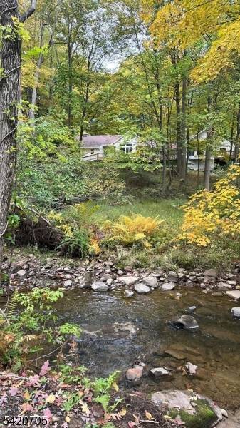 PROFESSIONAL PHOTOS COMING SOON !