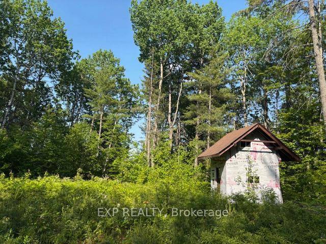 Bird Song Plateau with a view in the fall of Carson Lake and nothing but fresh air and nature surrounding you.