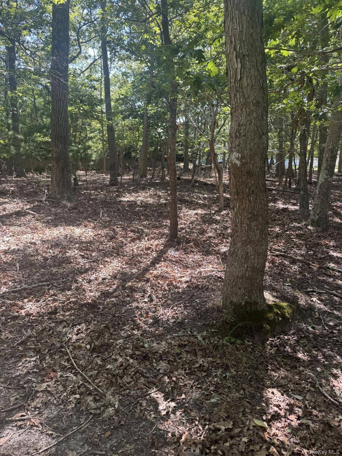Land opportunity in Springs Opportunity awaits at 4 Calvin Street, a flat and buildable parcel located in the desirable hamlet of Springs.
