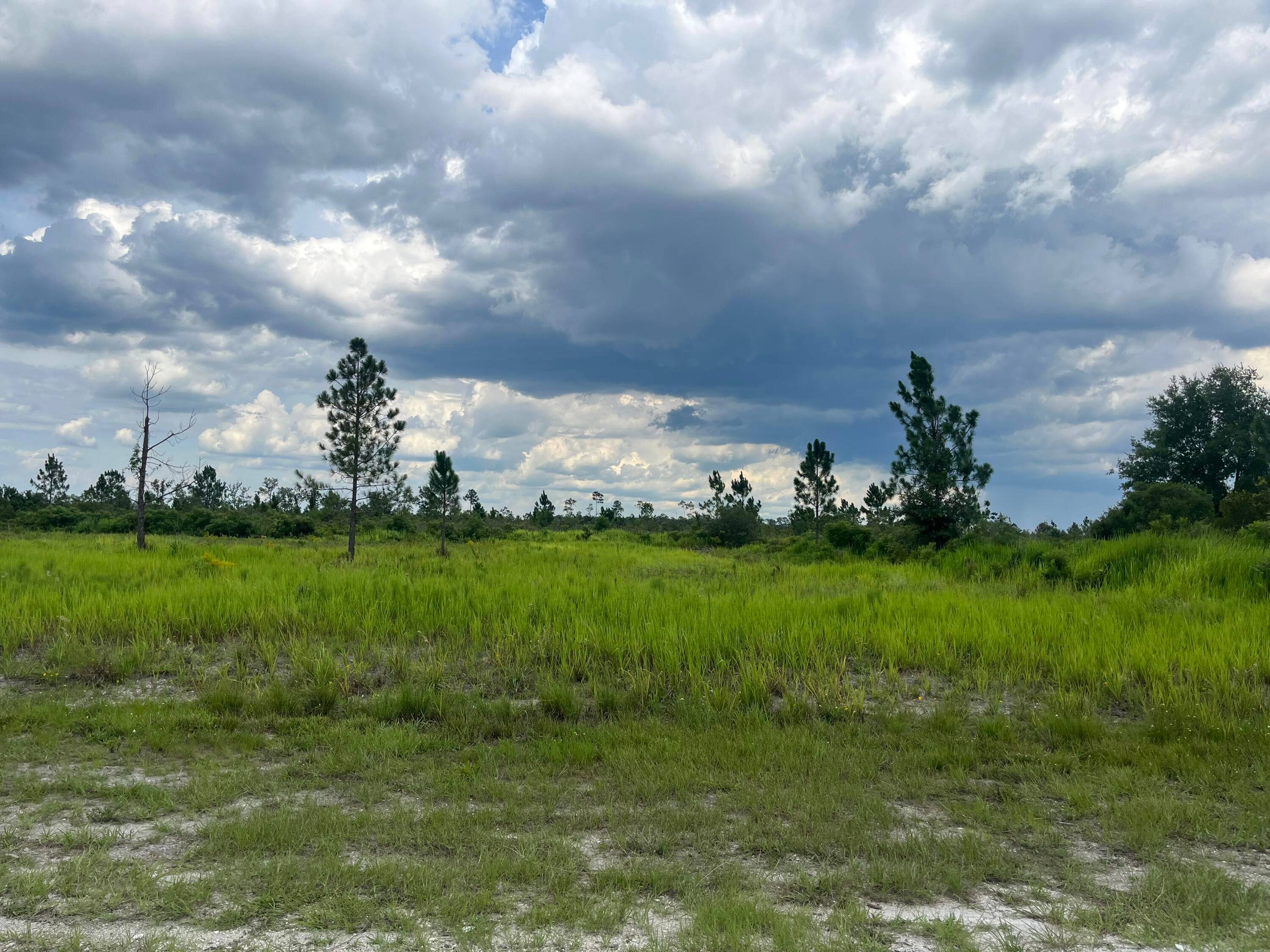 Build your dream home on this beautiful 0.