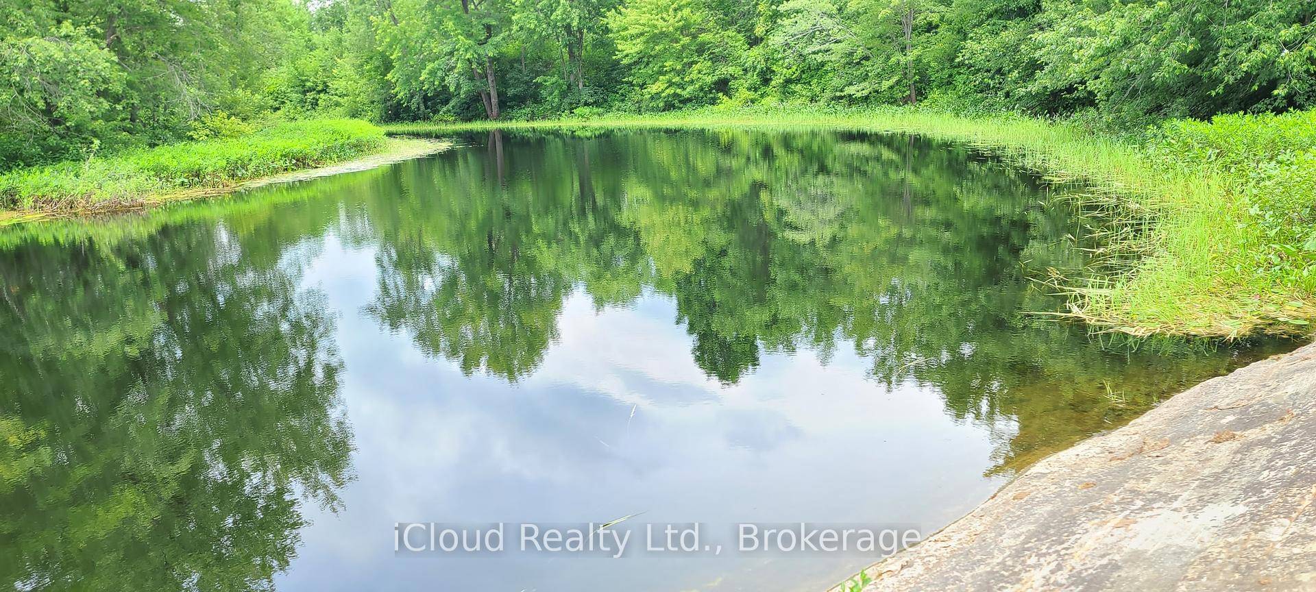 Escape into Nature, 1. 8 AC 165 x 555 Waterfront building vacant lot on Clare River, deep waters in this area perfect for swimming, boating, fishing or hunting.