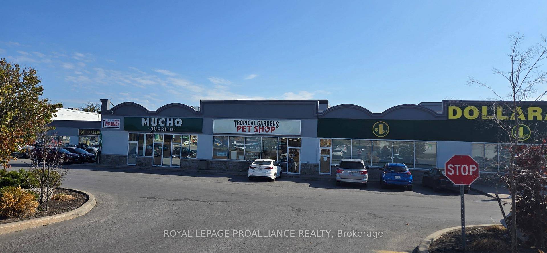 Situated in Bridge amp ; Sidney square, a well located and busy plaza at south east corner of Bridge Street West at Sidney Street.