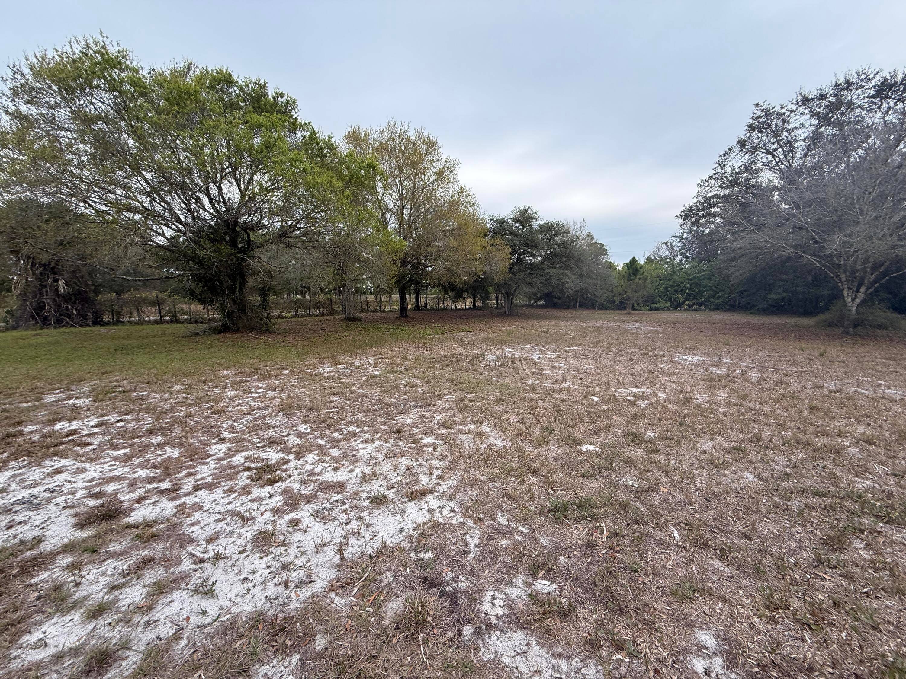 One of the few double lots.