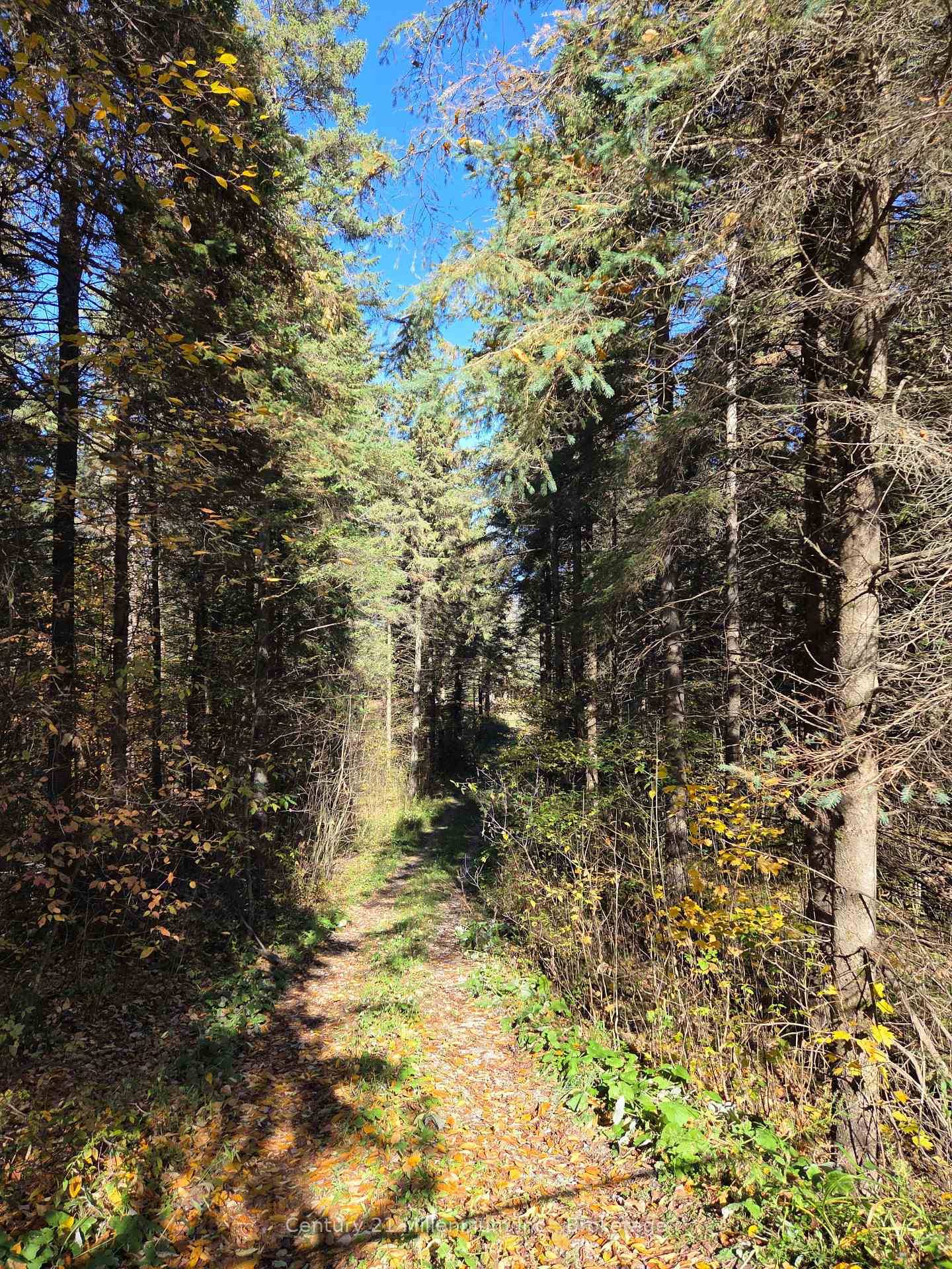 Welcome to your private getaway a stunning 6 acre parcel ideally located just minutes from Mansfield Ski Club.