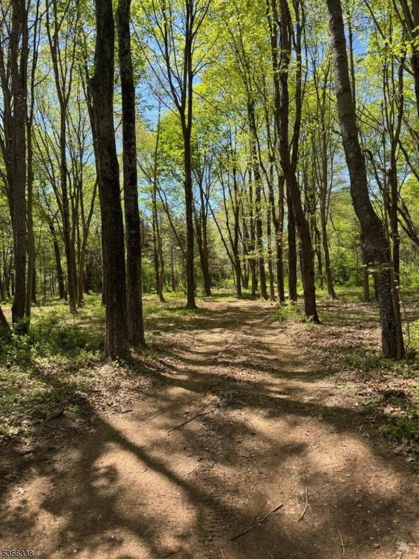 Rare opportunity to own a private 28 acre fully approved building lot with all public utilities sitting on a bucolic setting in Hillsborough Township.