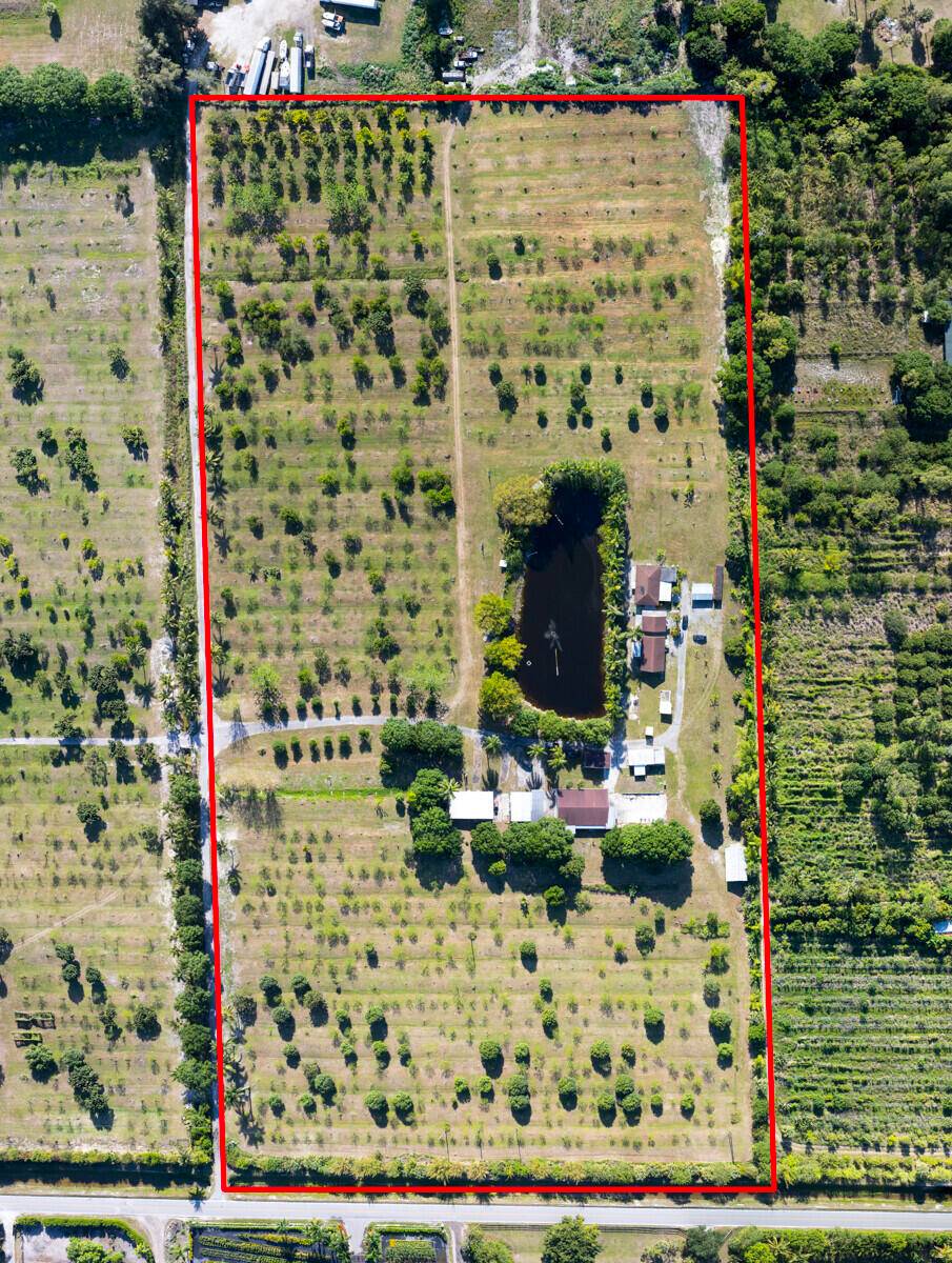 WORKING PRODUCING 20 ACRE EXOTIC FRUIT TREE ORCHARD.