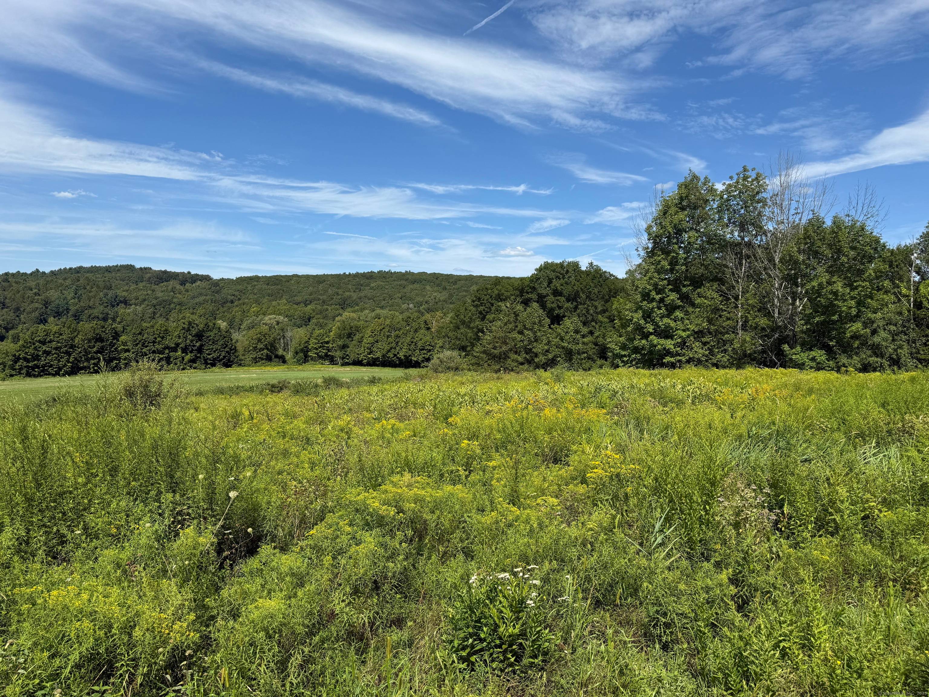 102 Acres with Sweeping Hudson Valley Catskill Views This unique property offers 102 acres of open fields and breathtaking vistas overlooking the Hudson Valley and the Catskill Mountains.