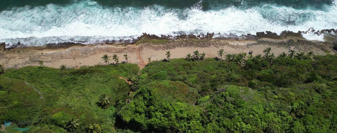 CALLE ESTACION House Quebradillas