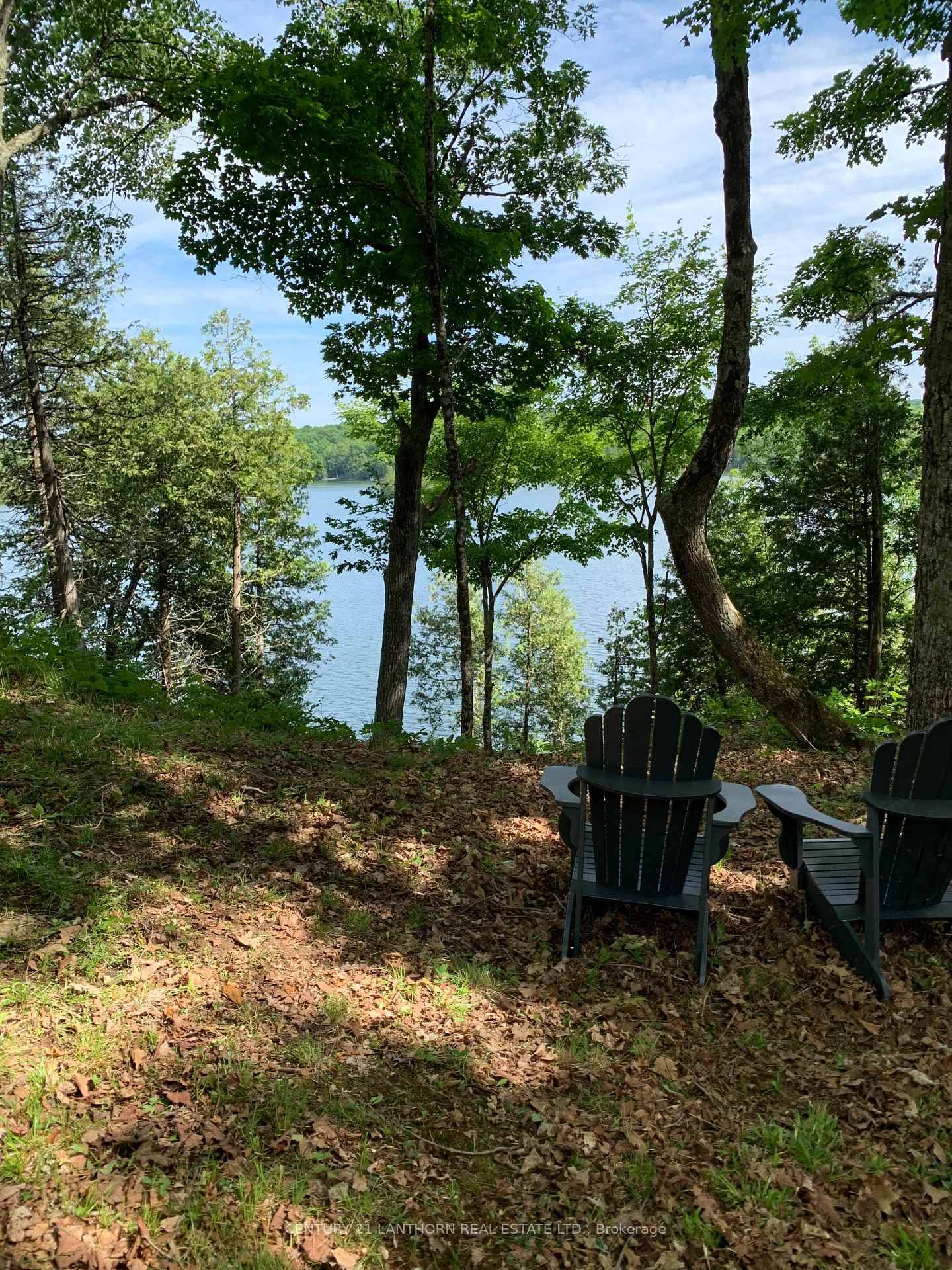 Looking for your perfect waterfront dream escape ?