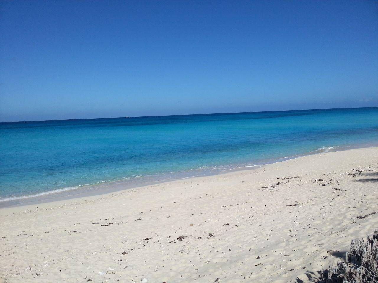 PORT ROYAL Land Bimini