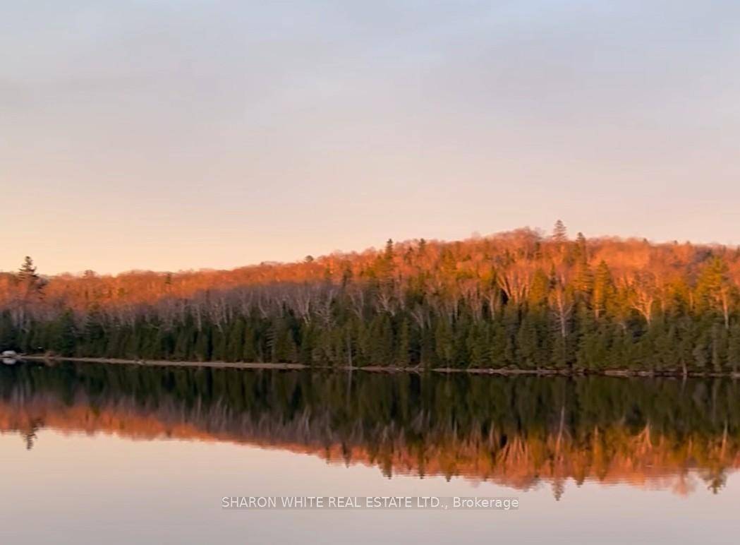 Build your dream home or cottage in the woods, or build near the shoreline on this 60 acre Bass lake with scenic views, privacy galore.