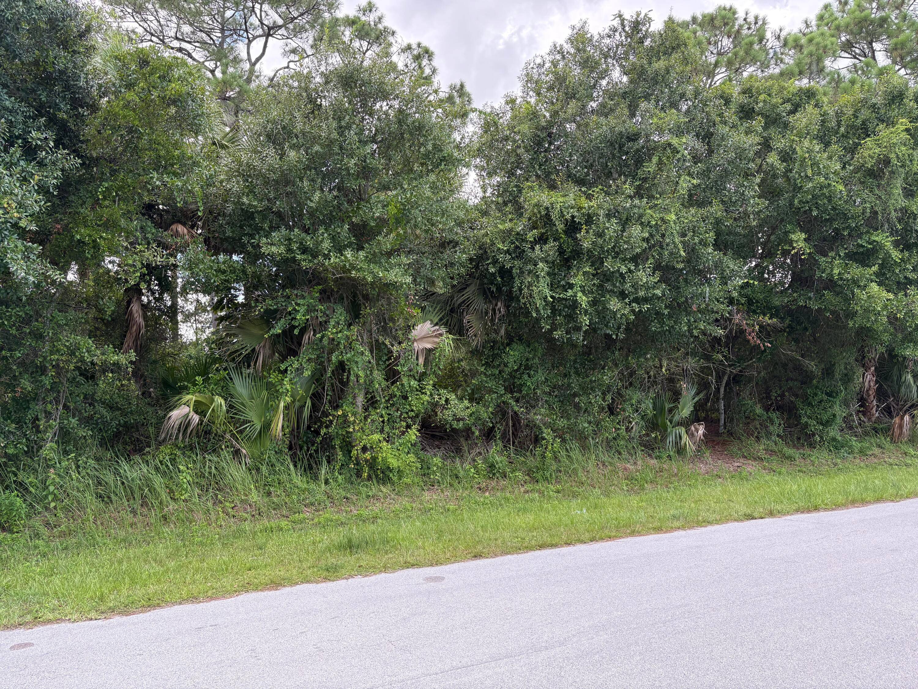 Beautiful lot in a wonderful neighborhoodClose to schools, shopping, medical facilities, the beach and much more.
