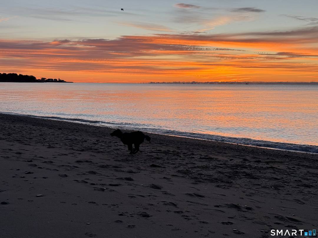 413 Ocean Avenue Direct Waterfront with Private Sandy Beach No Flood Insurance Required.