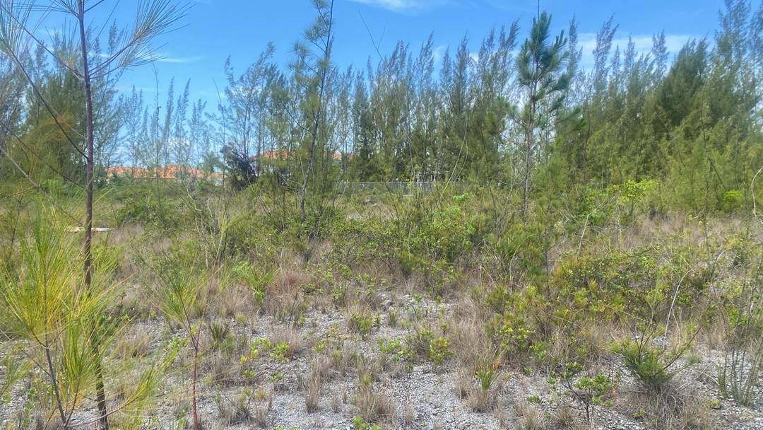 PARCEL B CORAL HARBOR Land New-Providence