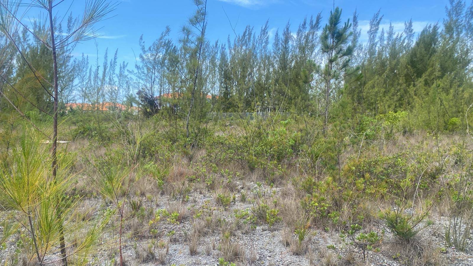PARCEL B CORAL HARBOR Land New-Providence