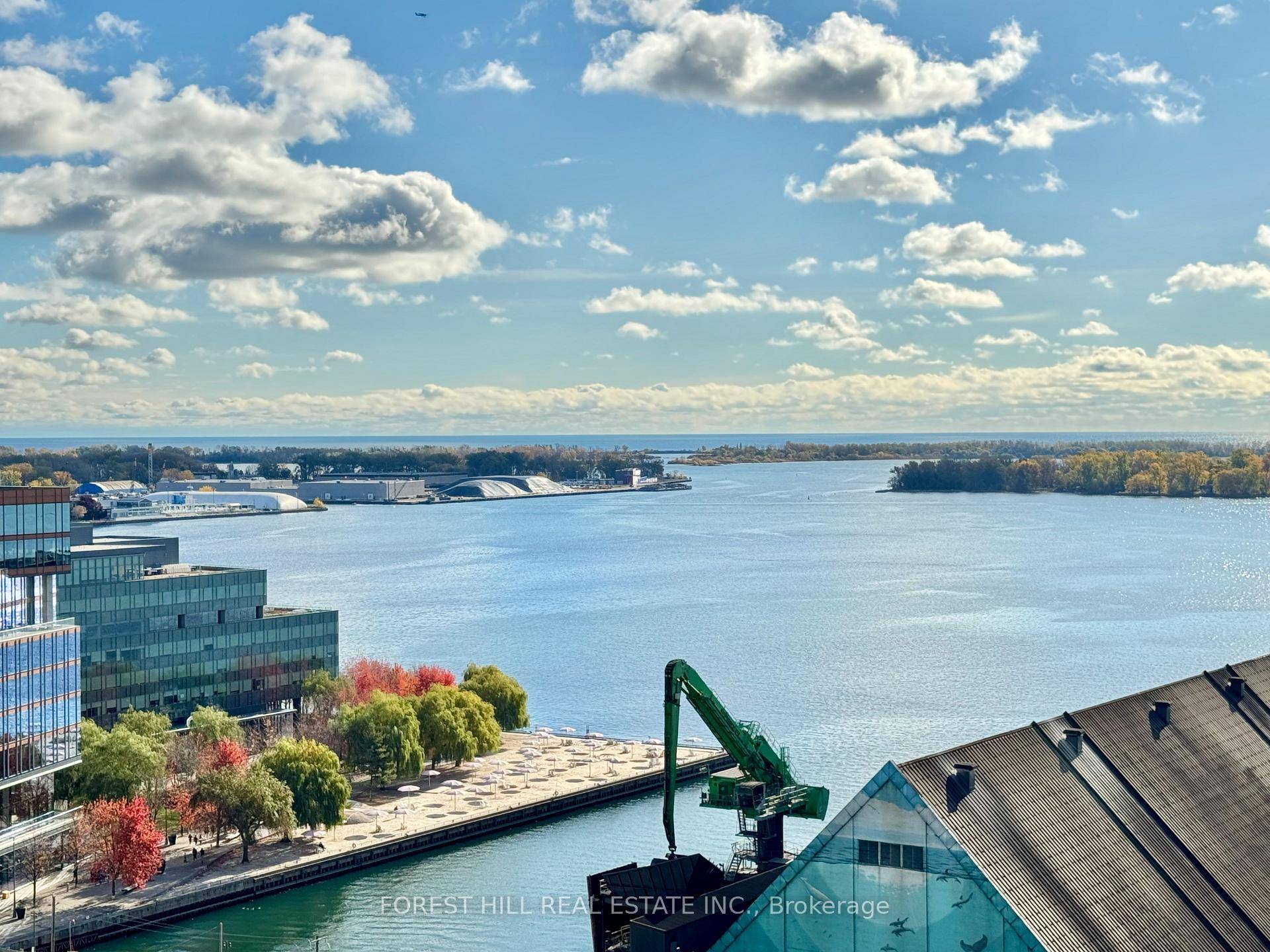 Luxury Sugar Wharf condo built by Menkes.