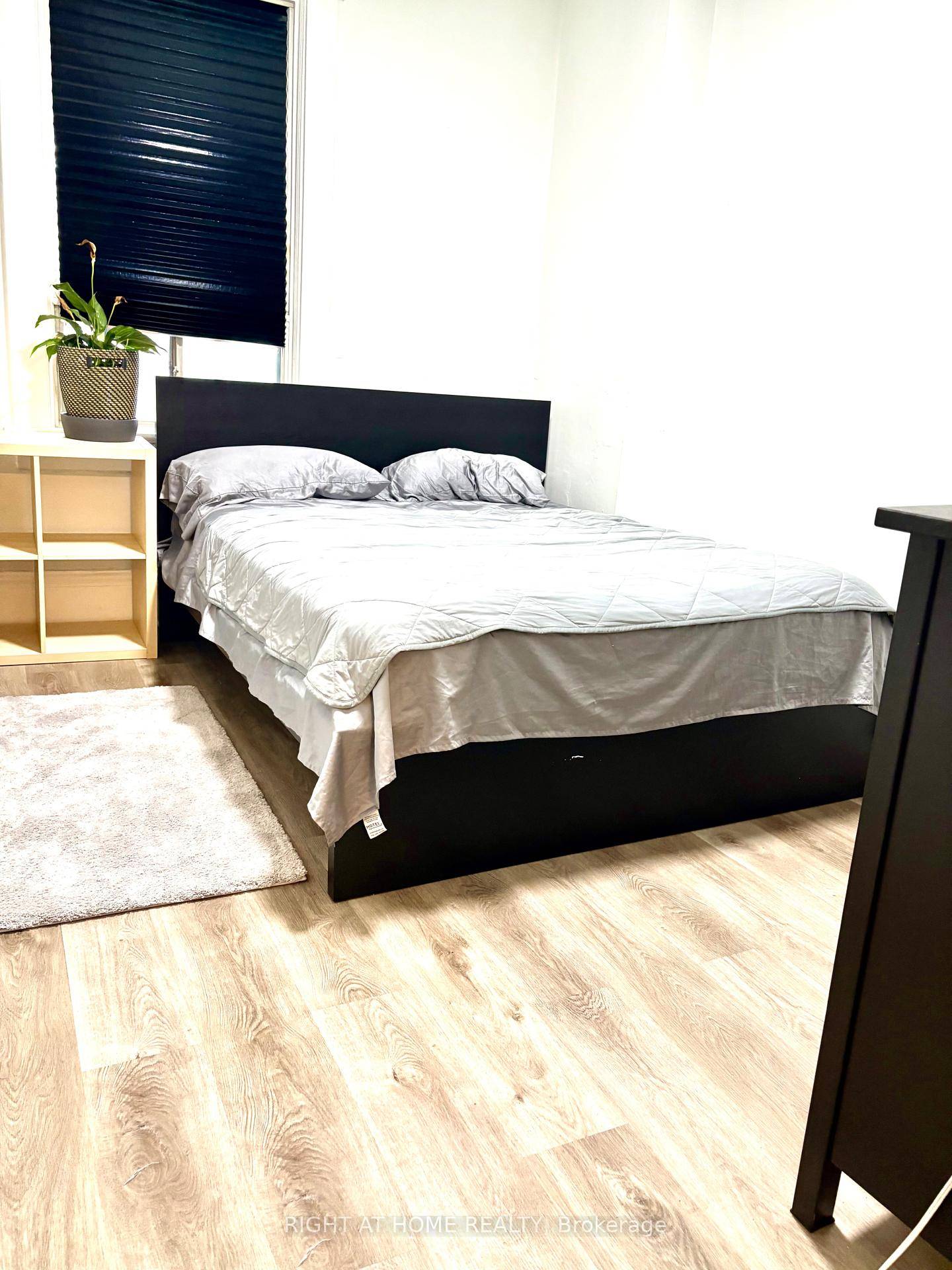 Welcome to 526 Palmerston Blvd.