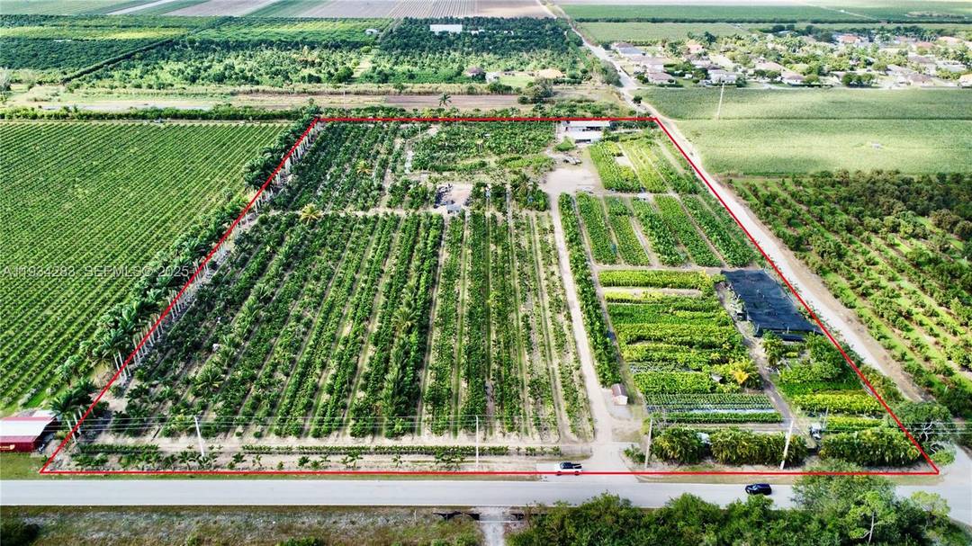 Turn key Tree farm with equipment and over 500k in inventory included in sale !