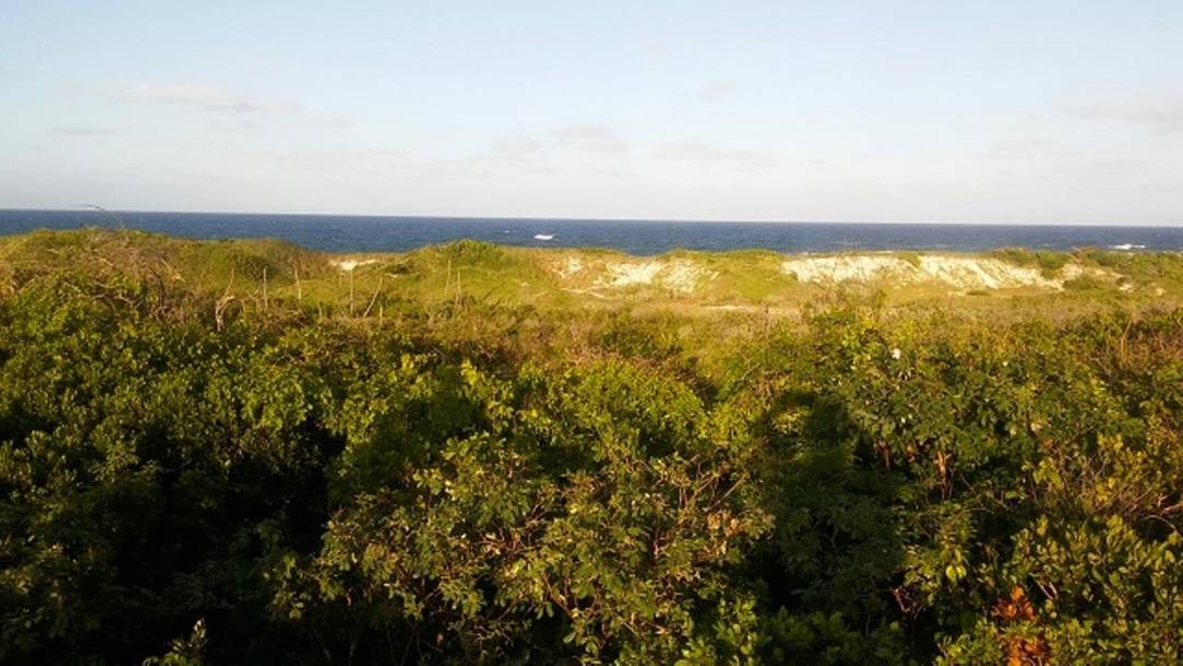 OCEAN VIEW LOT 1 MILLERS Land Long-Island-Bahamas
