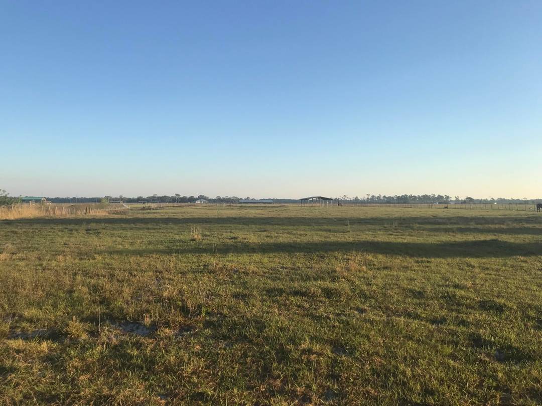 This stunning property boasts an expansive 75 acres with a main home, guest house, metal shop, stables, and another smaller livestock barn.