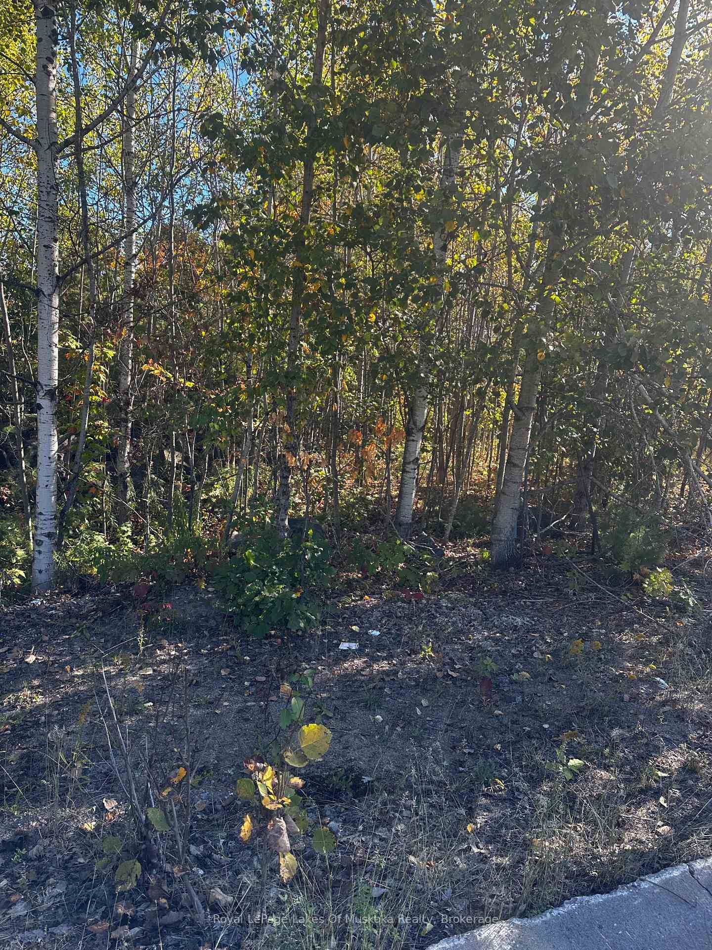 Beautiful treed lot in a nice quiet area of newer homes available for your build.
