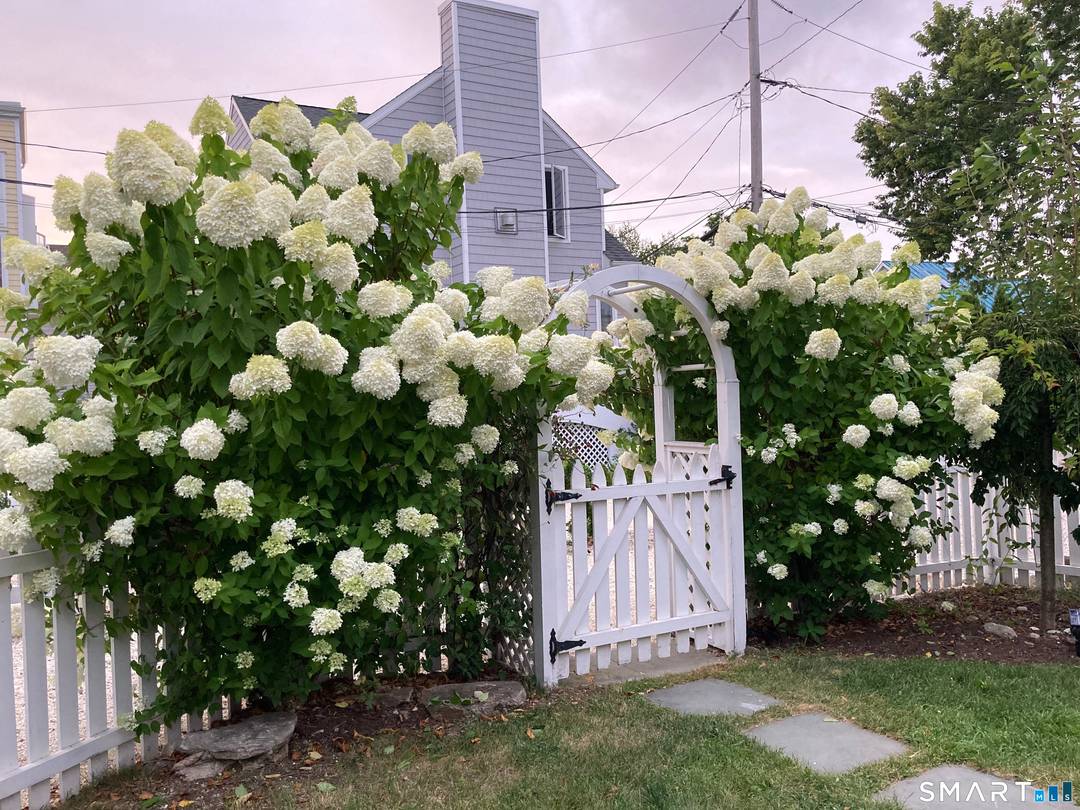 Saugatuck Shores summer rental.