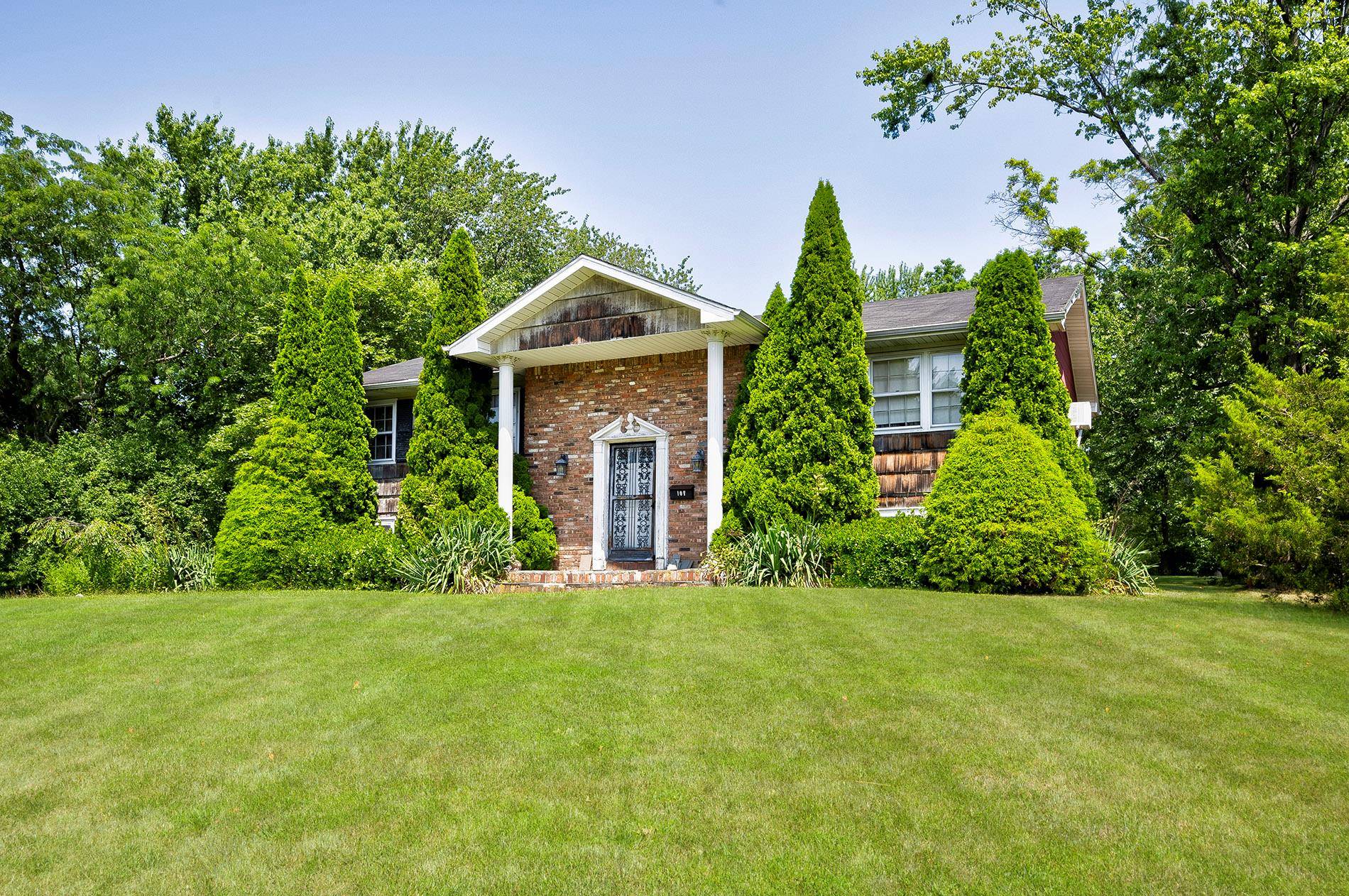 Diamond in the rough ! ! !