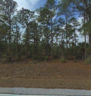 1223 Richmond Avenue Land Palm Beach