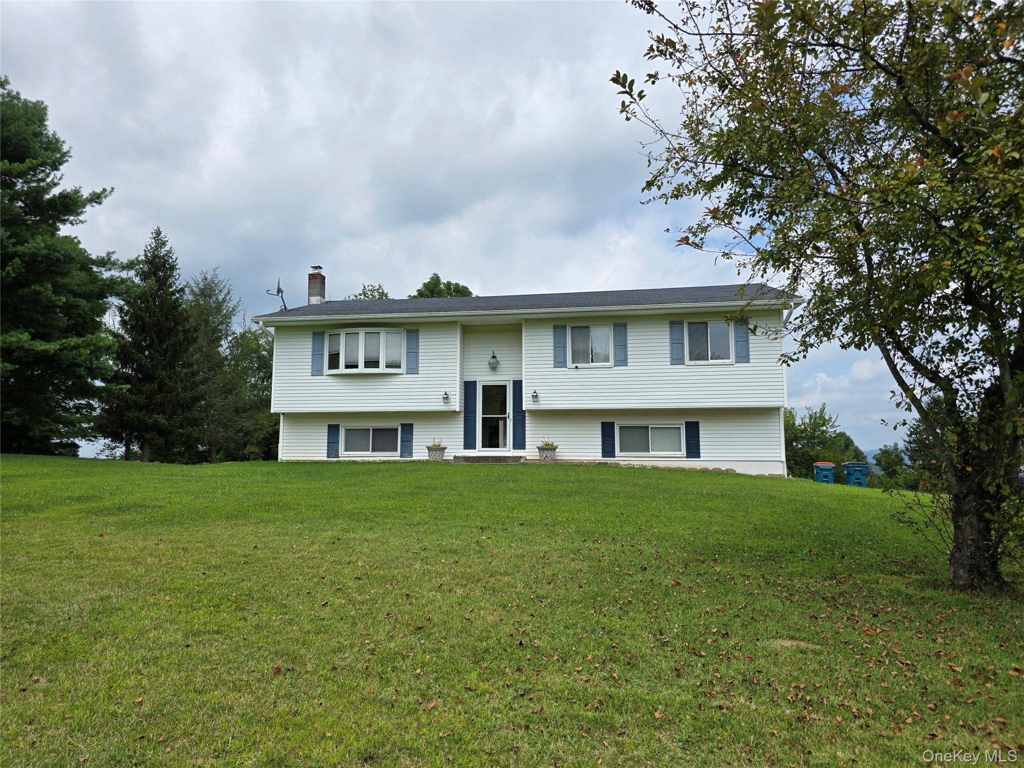 Welcome to this stunning 3 bedroom raised ranch.