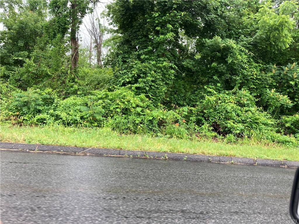 RAW LAND PARCEL CONSISTING OF 99 ACRES LOCATED ON TORRINGTON'S UPPER EAST SIDE.