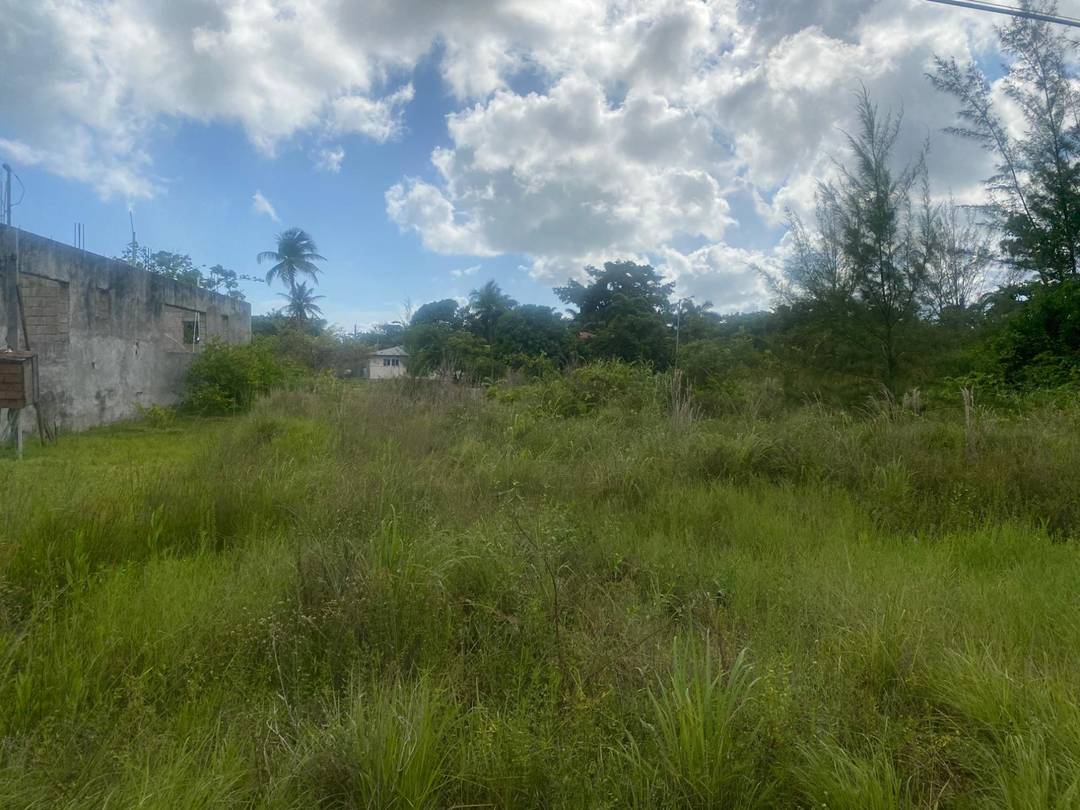 CORAL BOULEVARD Land New-Providence