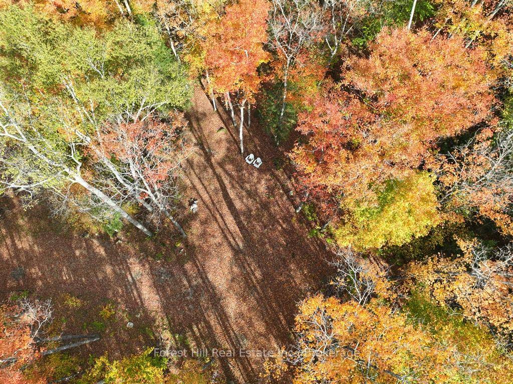 Idyllic 10 acre parcel of land consisting of a well balanced mix of mature deciduous and coniferous trees with a depth of 725' and ample room to roam and enjoy ...