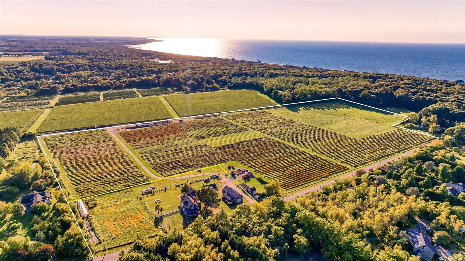 Southold, North Fork Over 30 acres of active farmland planted with nearly 40, 000 blueberry bushes and approximately 10 acres of fallow, open farmland for expansion or other agricultural uses.
