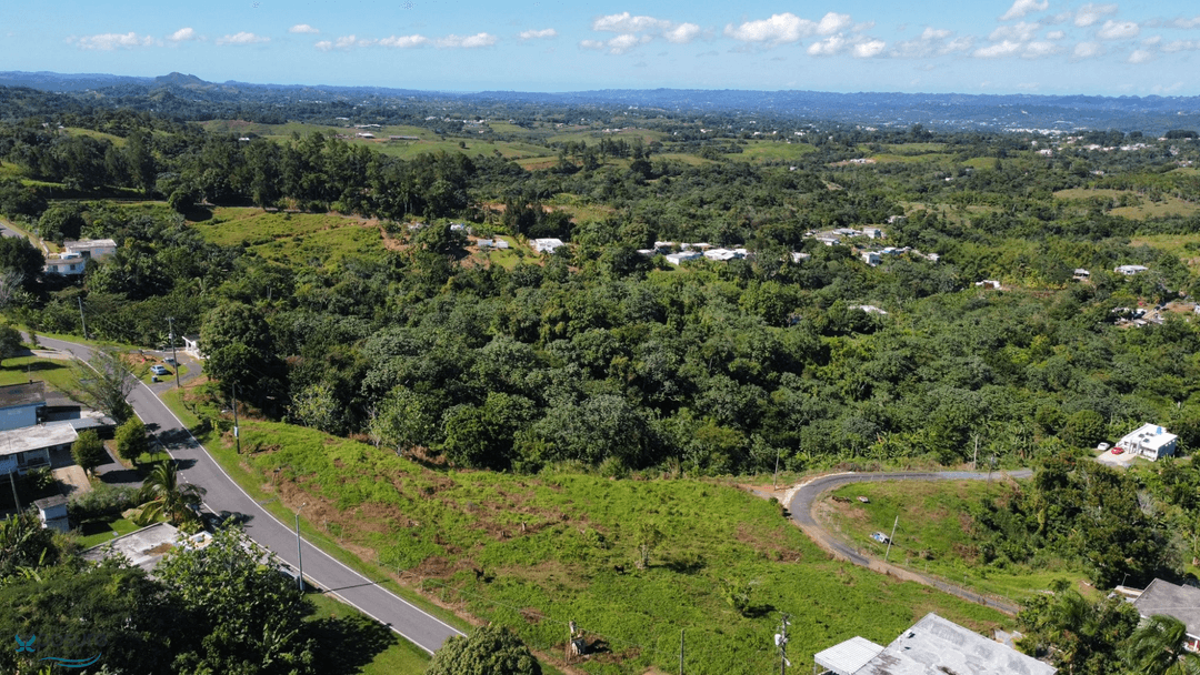 CARR. 119, KM 38.6 BO. CALABAZAS, SAN SEBASTIÁN, PUERTO RICO 00685 Land San-Sebastian