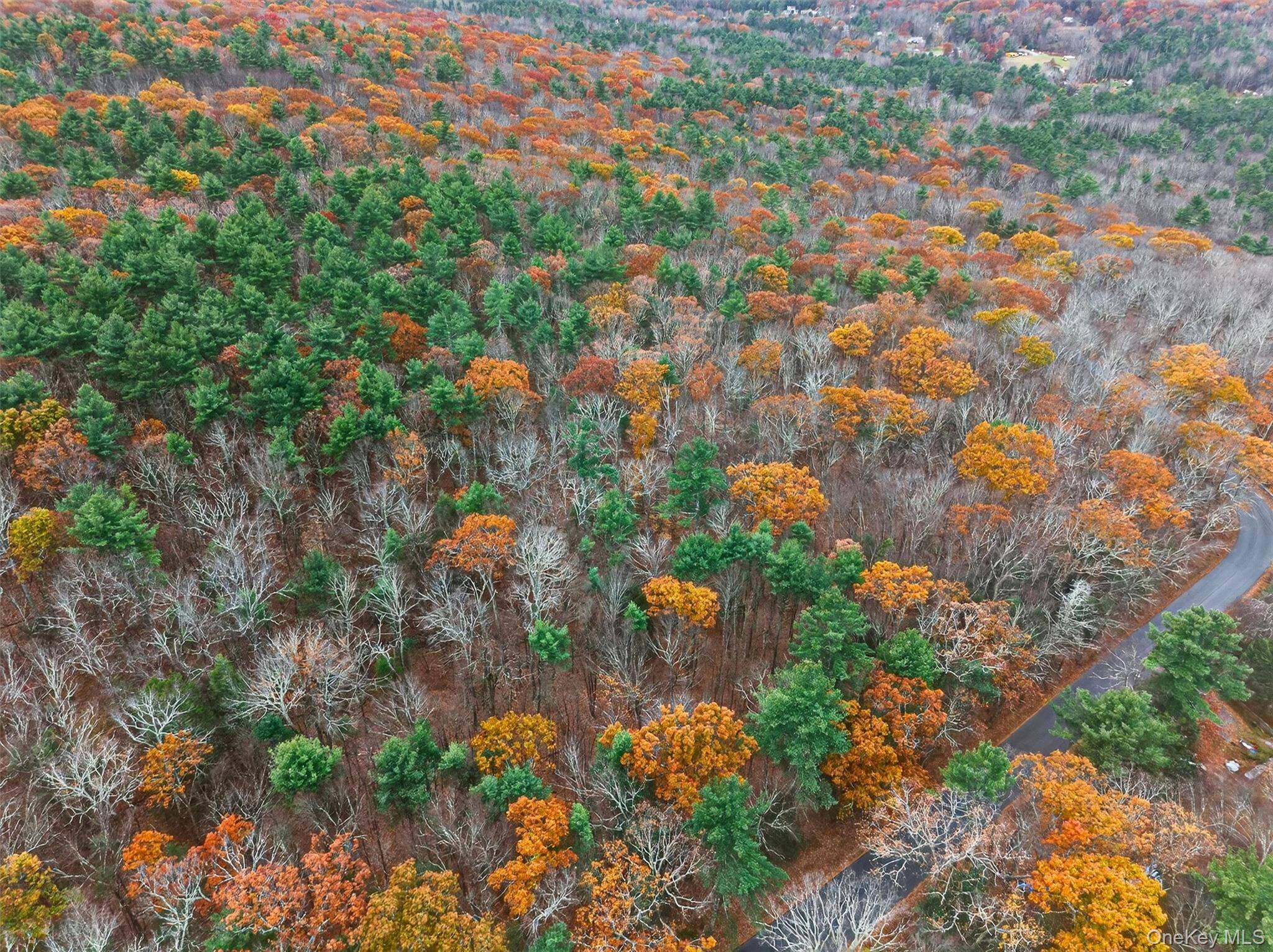 206 Secluded Acres Boehmler Rd, Sparrowbush, NY Escape to your own private retreat with this 206 acre secluded and wooded property offering extensive road frontage on Boehmler Road in Sparrowbush.