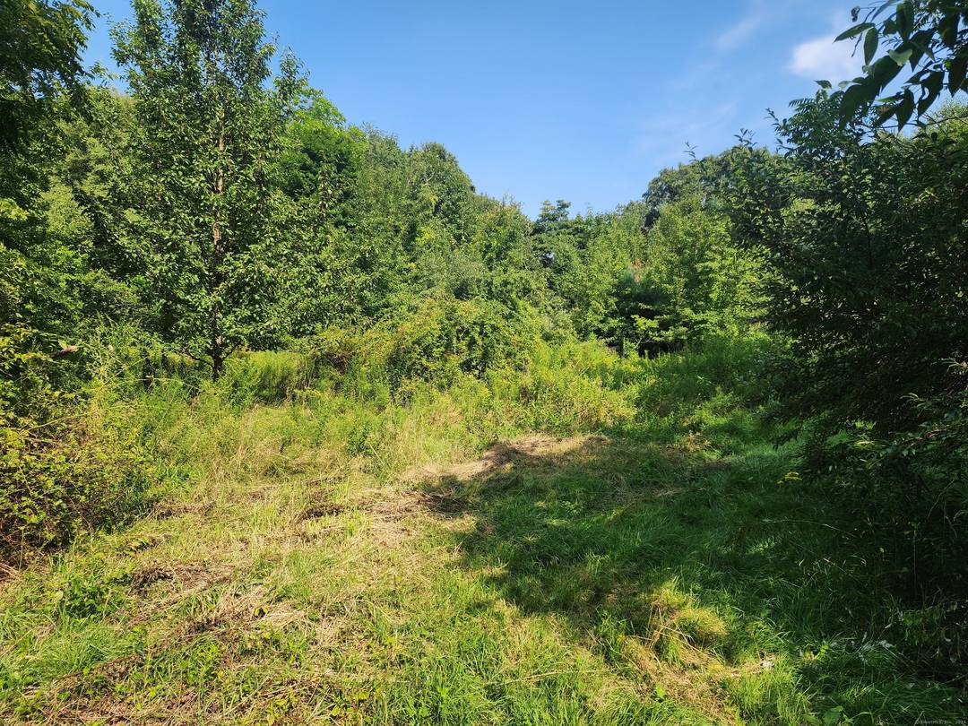 This 9 acre parcel has some crazy potential !