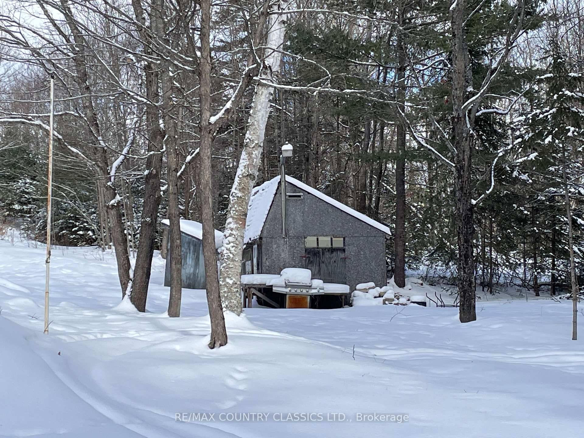 Nice one acre lot in Maple Leaf !