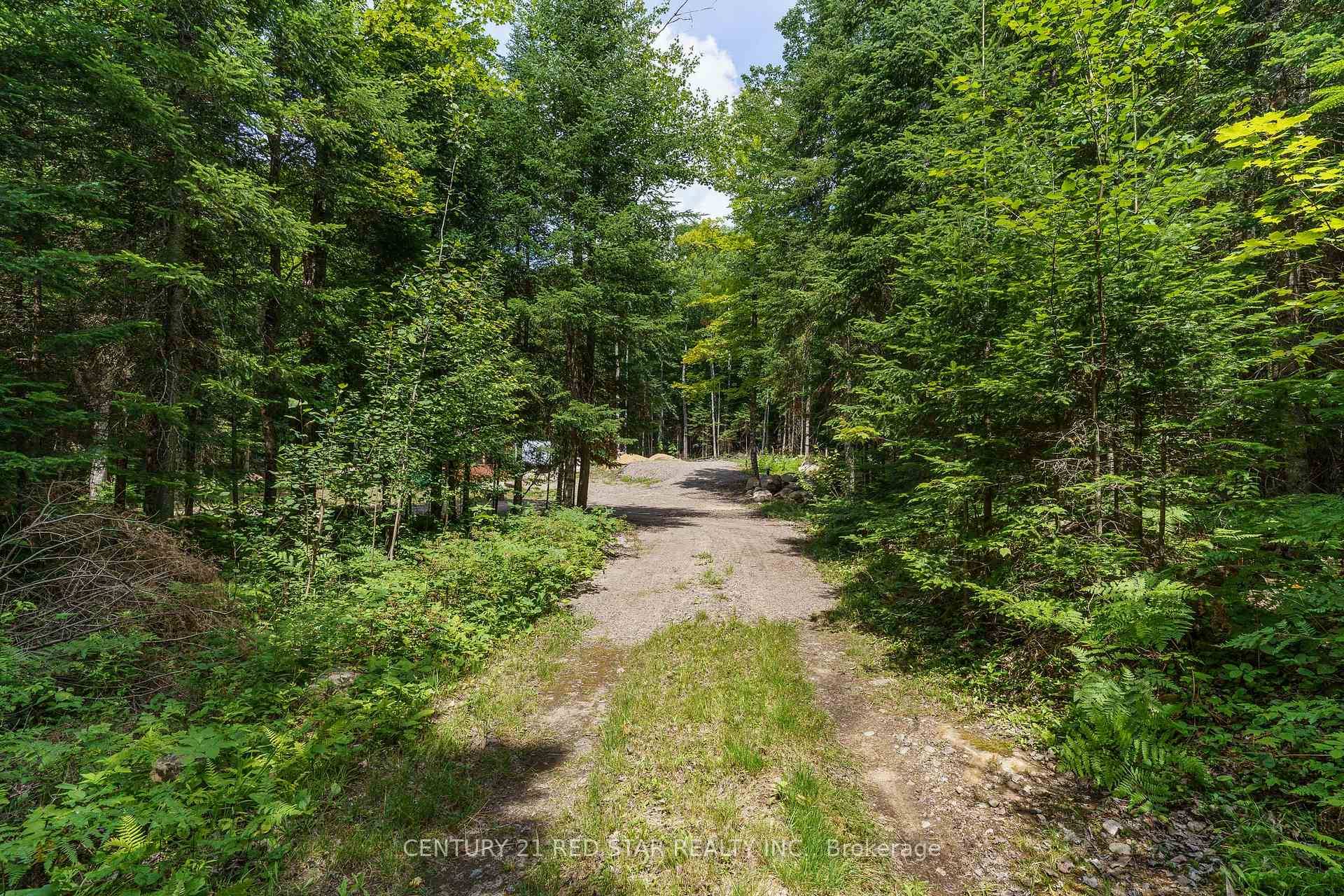 IF YOU ARE LOOKING FOR THE IDEAL PARCEL OF LAND THAT PROVIDES A PEACEFUL BACKDROP, WHILE STILL LOCATED ONLY 10 MINUTES FROM THE TOWN OF HALIBURTON WITH HALF OF THE ...